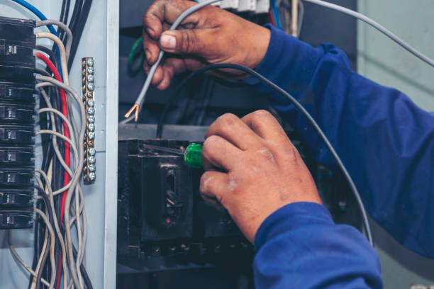 Best Electric Panel Repair  in Holiday Shores, IL