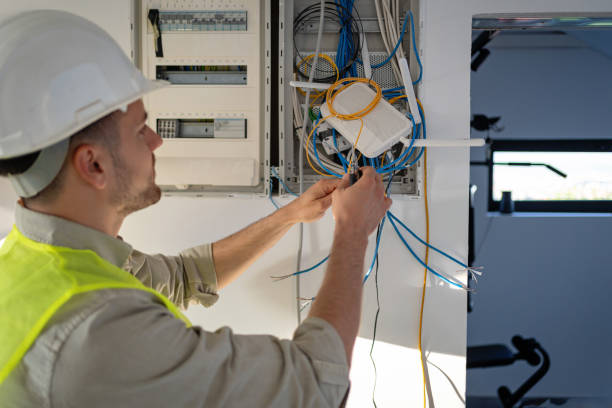 Best Electrical Upgrades for Homes  in Holiday Shores, IL